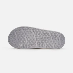 BASE SLIDERS